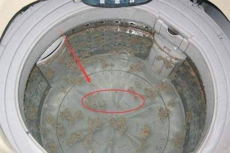 洗衣機長期停用應該怎樣保養